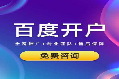 SEM服务公司助力电商增长案例